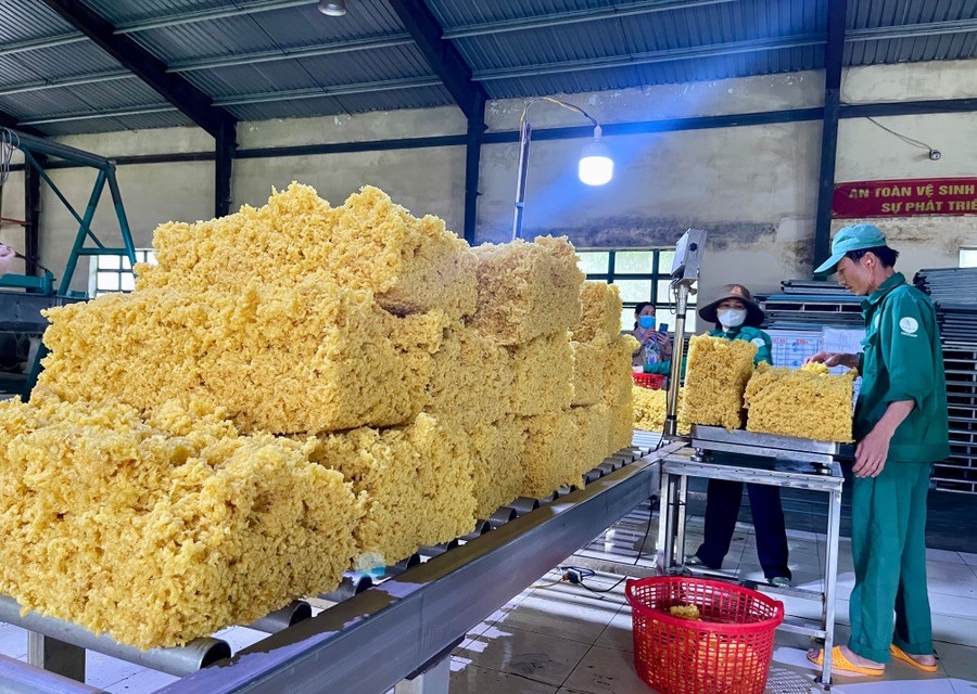 Phê duyệt vùng bảo hộ vệ sinh khu vực lấy nước sinh hoạt tại Nhà máy chế biến mủ cao su Chư Păh